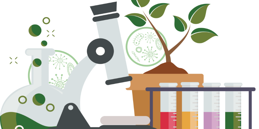 Тест-контроль 'Селекция' - Пройти онлайн тест | Online Test Pad