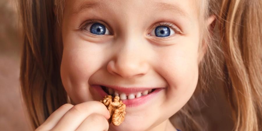 Орехи: польза или вред? - Пройти онлайн тест | Online Test Pad