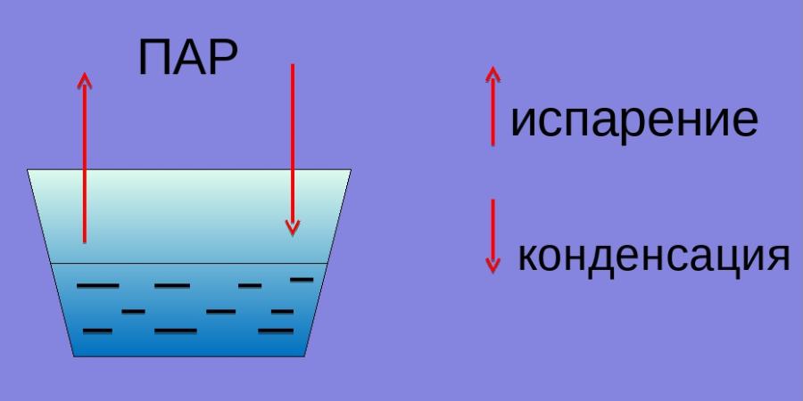 Пар в воду процесс. Процесс испарения воды физика. Схема испарения воды для 3. Испарение схема процесса. Схема процесса испарения воды.