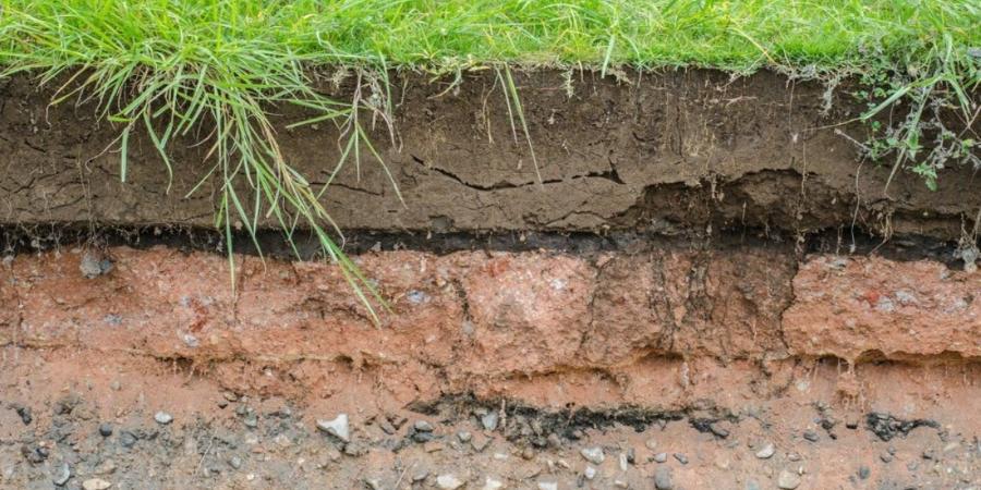 Почвы России - Пройти онлайн тест | Online Test Pad