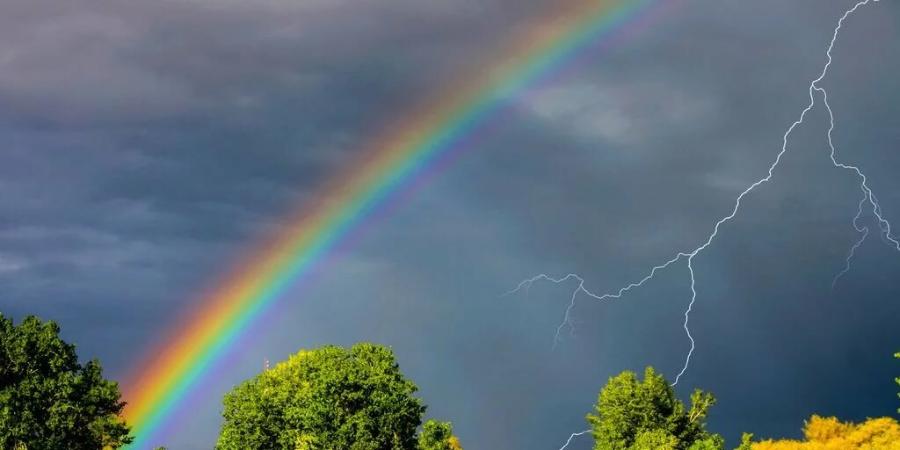 Погода и времена года - Пройти онлайн тест | Online Test Pad