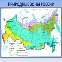 Природные зоны россии 5 класс тест. Природные зоны ОГЭ.