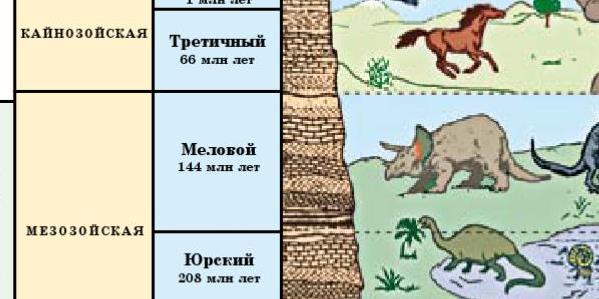 Эры и периоды развития жизни - Пройти онлайн тест | Online Test Pad